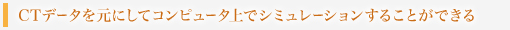 CTデータを元にしてコンピュータ上でシミュレーションすることができる