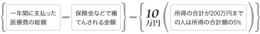 一年間に支払った医療費の総額 保険金などで補 てんされる金額 10万円 所得の合計が200万円までの人は所得の合計額の5％