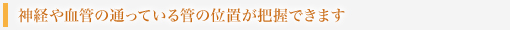 神経や血管の通っている管の位置が把握できます