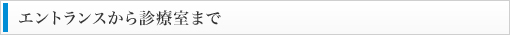 エントランスから診療室まで